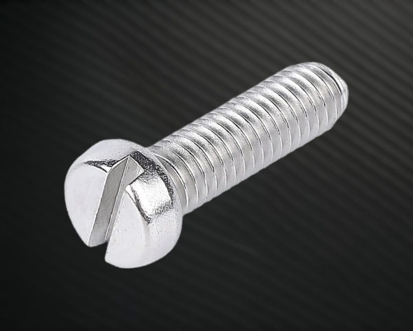 Cheese Head Screws