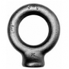 SHOP 1 PAD EYES CARBON STEEL